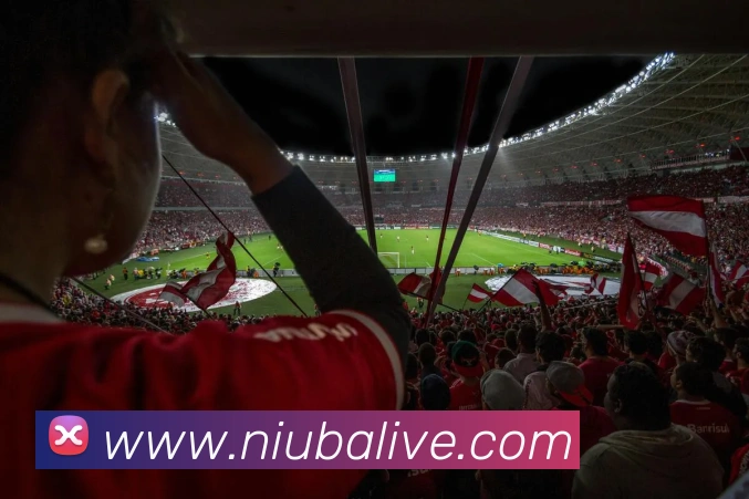 App Interface Preview